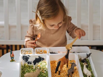 Level 2 Child Development and Montessori in the Home